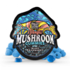 Mushroom gummies that are formulated with a seriously potent proprietary blend of mushrooms. These Trehouse